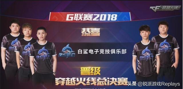 仅以美丽的